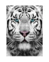 Фото #2 товара Пазл золотой Сибирский Тигр 1000 деталей