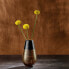 Фото #3 товара Vase-Set Soliflor Manufacture Swirl 2tlg