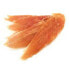 BIOZOO Dried Chicken Breast 100g - фото #2