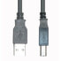Фото #1 товара E&P CC 502/10 LOSE - 10 m - USB A - USB B - USB 2.0 - Male/Male - Black