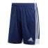 Фото #1 товара Adidas Tastigo 19 M DP3245 shorts