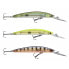 DAIWA Tournament Double Clutch Suspending minnow 5g 75 mm