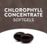Фото #6 товара Хлорофилл концентрированный Nature's Way, 100 мг, 90 капсул (50 мг в капсуле)