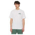 Фото #1 товара DICKIES Aitkin Chest short sleeve T-shirt