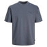 JACK & JONES Blasanchez short sleeve T-shirt