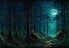 Фото #1 товара Vlies Fototapete Wald Dunkler Mond Nacht