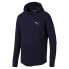 Фото #4 товара [580332-06] Mens Puma EVOSTRIPE HOODY