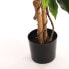 Kunstpflanze Ficus