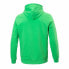 Men’s Hoodie Champion Green