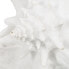 Фото #2 товара Декоративная фигура Белый Раковина 21 x 19 x 13 cm