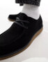 Truffle Collection apron toe lace up shoes in black suede