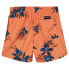 Фото #2 товара QUIKSILVER Everyday Mix Volley 14´´ Youth Swimming Shorts