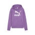 Puma Classics Shiny Logo Pullover Hoodie Womens Purple Casual Outerwear 62559550