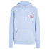 TOMMY JEANS Reg 3D Street Tj Hood Ext hoodie