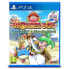 Фото #1 товара PLAYSTATION GAMES PS4 Wonder Boy Asha Monster World