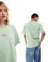 Dickies maple valley tee in quiet green