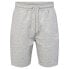 Фото #1 товара HUMMEL Icons Regular Shorts