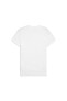 Evostripe Tee Erkek T-shirt