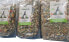 Фото #1 товара Alegia ALEGIA Natural Line karma Szczur 2,5kg