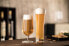 Фото #4 товара Weizenbiergläser Beer Basic 4er Set