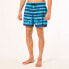 OAKLEY APPAREL Blur Stripes RC 16´´ Swimming Shorts