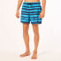 Фото #8 товара OAKLEY APPAREL Blur Stripes RC 16´´ Swimming Shorts