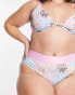 Фото #4 товара ASOS DESIGN Curve Betty cotton high waist brief in pastel animal