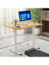 Electric Standing Desk Adjustable Stand up Computer Desk Anti-collision