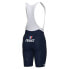 Фото #2 товара ALE French Cycling Federation Replica 2023 bib shorts