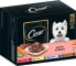 Nassfutter Hund Selektion in Sauce, Multipack (12x100 g), 1,2 kg