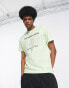 Фото #1 товара The North Face Coordinates chest print t-shirt in green