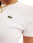 Фото #2 товара Lacoste crew neck short sleeve t-shirt in white