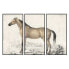 Фото #1 товара Картина декор DKD Home Лошадь (180 x 4 x 120 см)