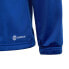 Фото #7 товара adidas Essentials Big Logo Track Suit Jr HR6408