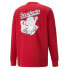 Puma Sf Race Graphic Crew Neck Sweatshirt Mens Red Casual Tops 53817002