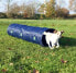 Фото #1 товара Аксессуар для дрессировки собак TRIXIE Туннель ловкости 40 см х 2 м