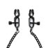 Фото #2 товара Adjustable nipple clamps with black chain