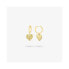 RADIANT RY000107 earrings