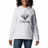 Фото #2 товара COLUMBIA Trek™ Graphic hoodie