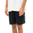 Фото #2 товара DICKIES Pelican Rapids Shorts