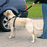 Фото #2 товара Trixie Szelki samochodowe dla psa L