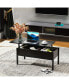 39" Modern Lift Top Coffee Table with Hidden Storage, Black Woodgrain