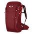 Фото #1 товара SALEWA Alp Trainer 20L backpack