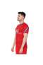 Paris Saint Germain Brt Top Ss Pm Erkek Kırmızı Futbol Tişört Cd5816-658