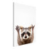 Wandbild Raccoon