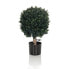 Фото #3 товара Kunstpflanze BUXUS