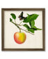 Фото #1 товара Fruit with Butterflies IV 18" x 18" Framed Canvas Wall Art