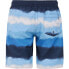 PROTEST Abel Swimming Shorts