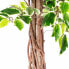 Фото #5 товара Kunstbaum Ficus Benjamini grün weiß