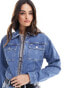 Фото #1 товара Tommy Jeans Clare cropped zipped denim jacket in mid wash